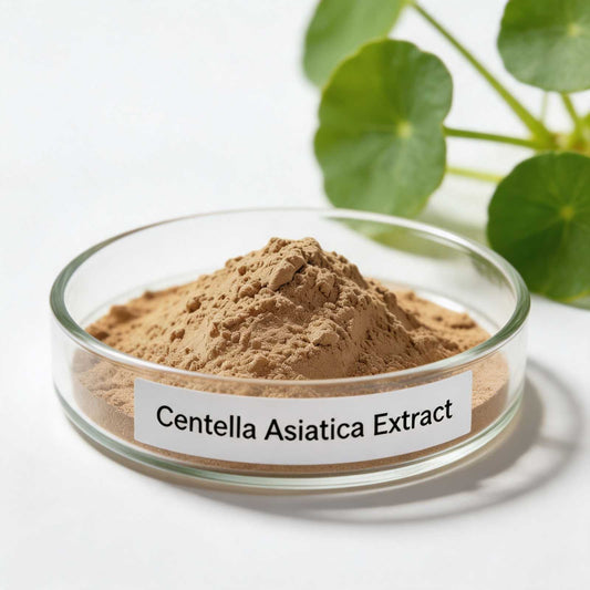 Centella Asiatica Extract 20:1
