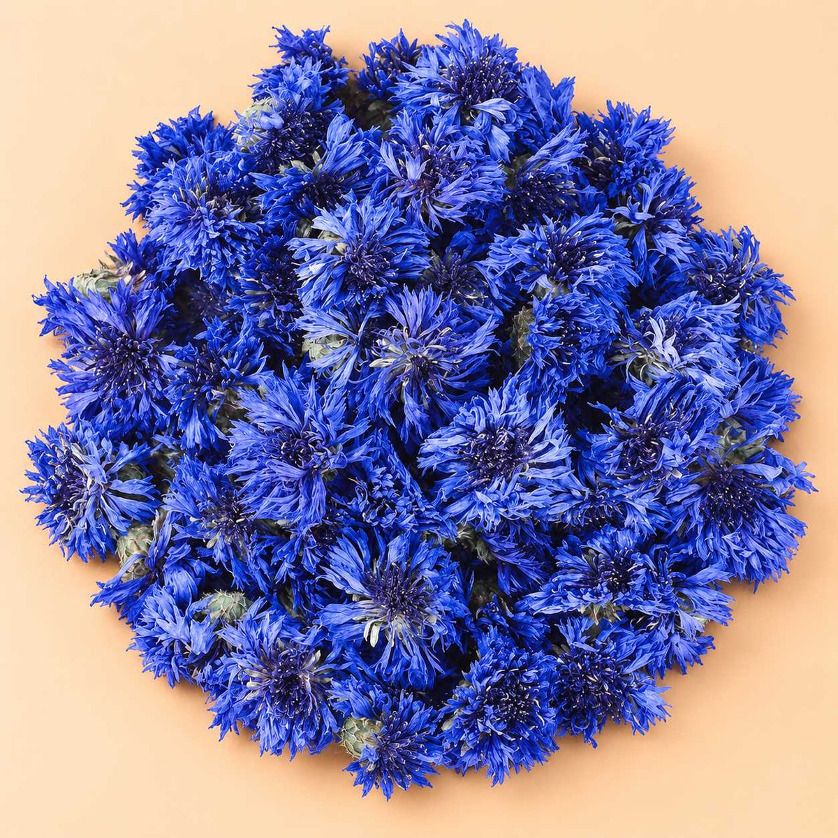 Whole Dried Cornflowers